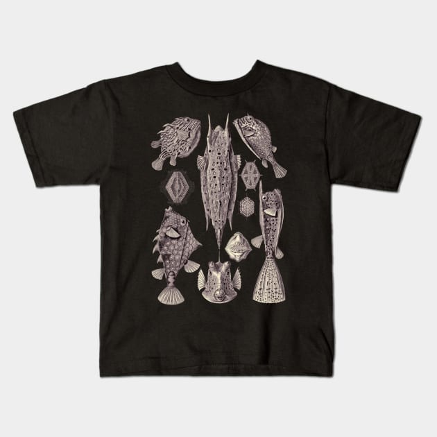 Ernst Haeckel Ostraciontes Fish Lavander Grey Kids T-Shirt by Scientistudio